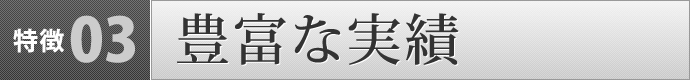 特徴３　豊富な実績