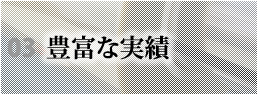 豊富な実績